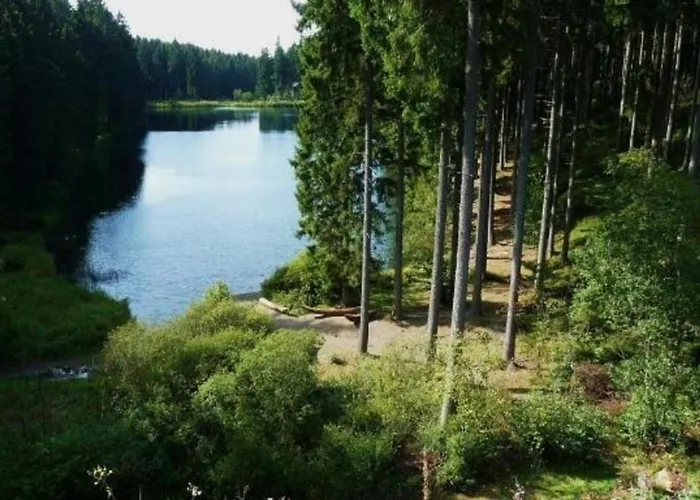 Secra Exclusive Harmonie Haus 4 Jahreszeiten 公寓 戈斯拉尔