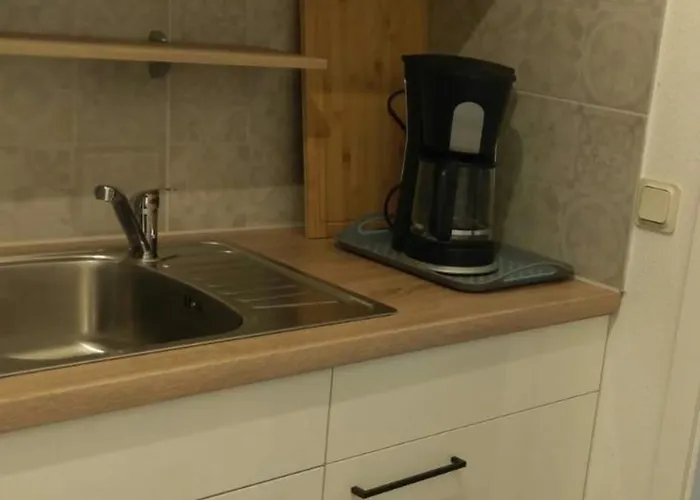 公寓 Secra Exclusive Harmonie Haus 4 Jahreszeiten 戈斯拉尔